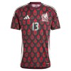 Maillot de Supporter Mexique Guillermo Ochoa 13 Domicile 2024 Pour Homme